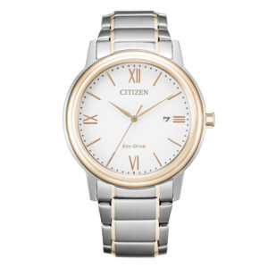 citizen for men model AW1376-86A