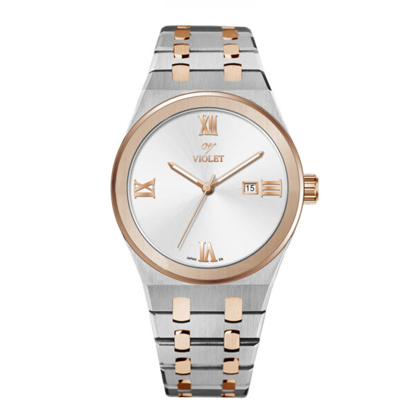 ساعت مچی مردانه ویولت مدل B0601G/919
